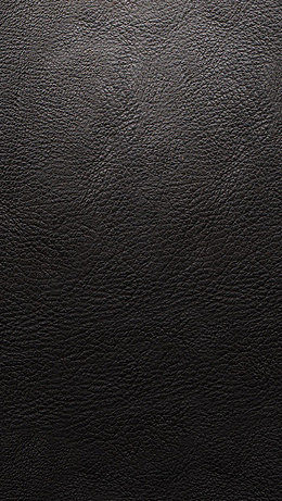 深邃的質感 黑色皮革的經典魅力